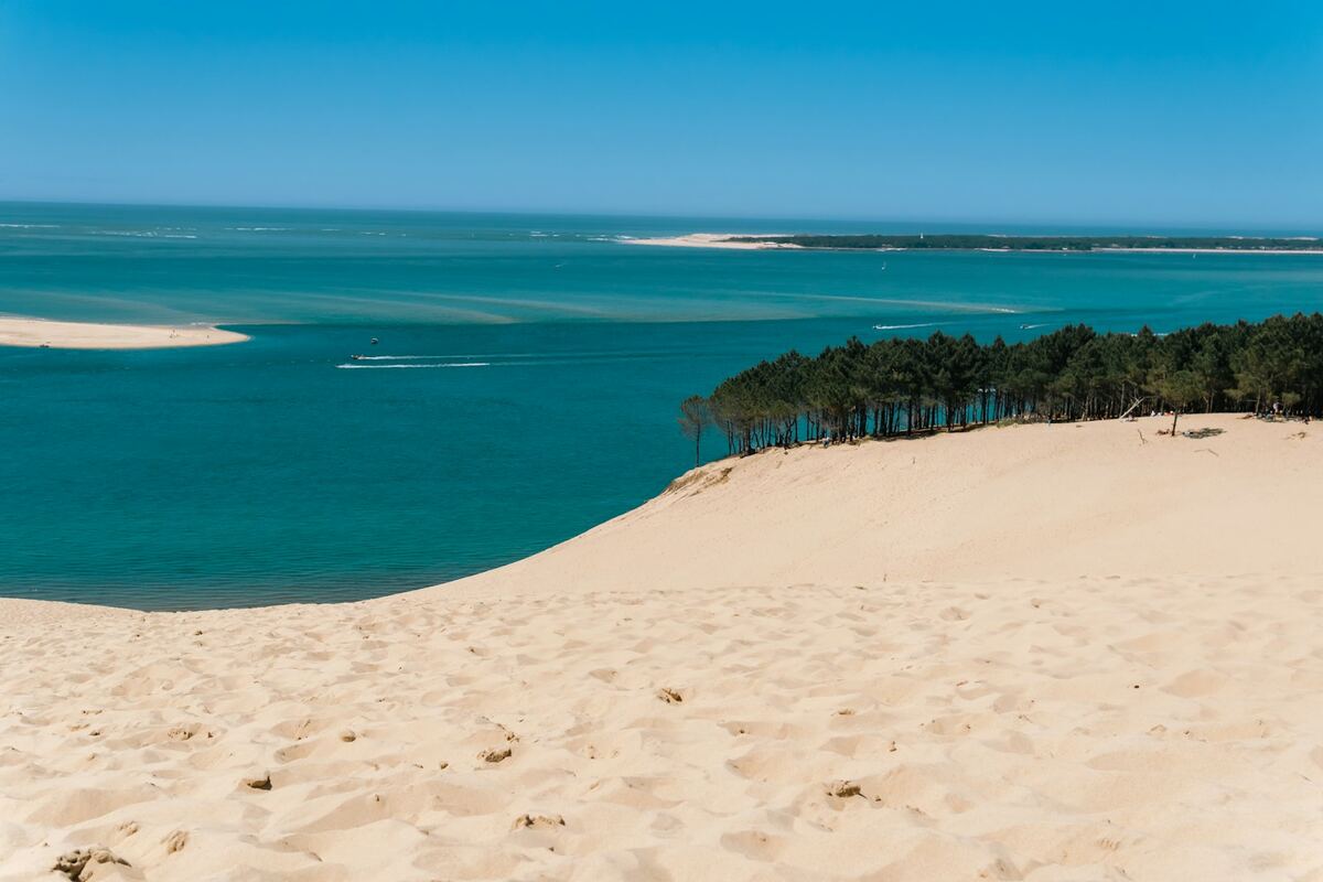 La dune du Pilat face au banc d'Arguin et à l'océan
